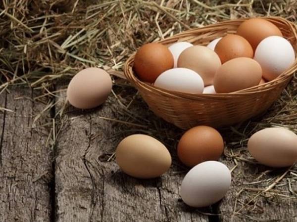 Mơ thấy trứng gà là điềm báo gì? Đánh con gì ăn chắc?