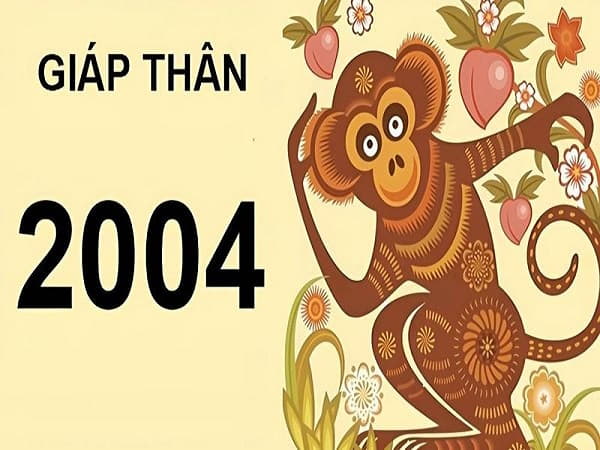 Nam Giáp Thân (2004) và những nét đặc trưng