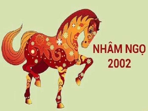 Đôi chút về nam Nhâm Ngọ 2002