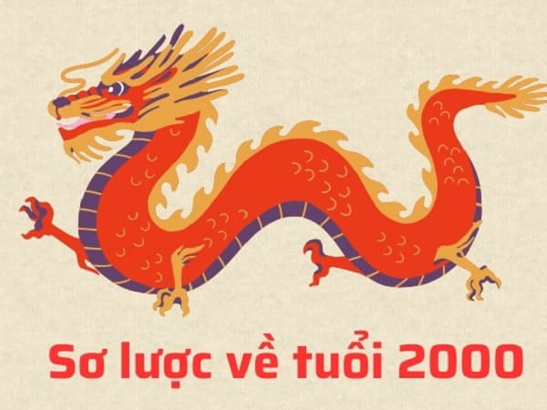 Tổng quan về nam sinh năm 2000