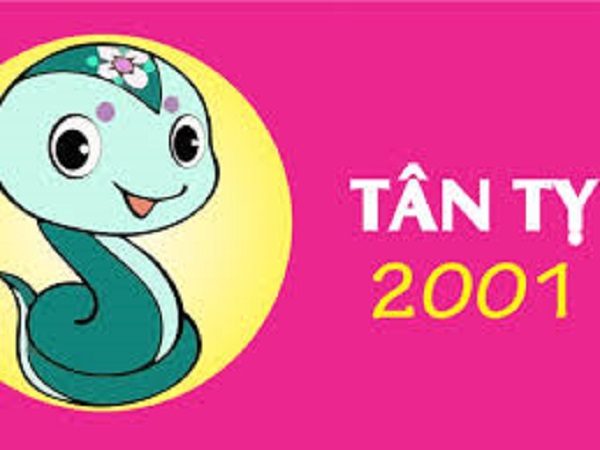 Tổng quan về nữ sinh năm 2001 – Tân Tỵ